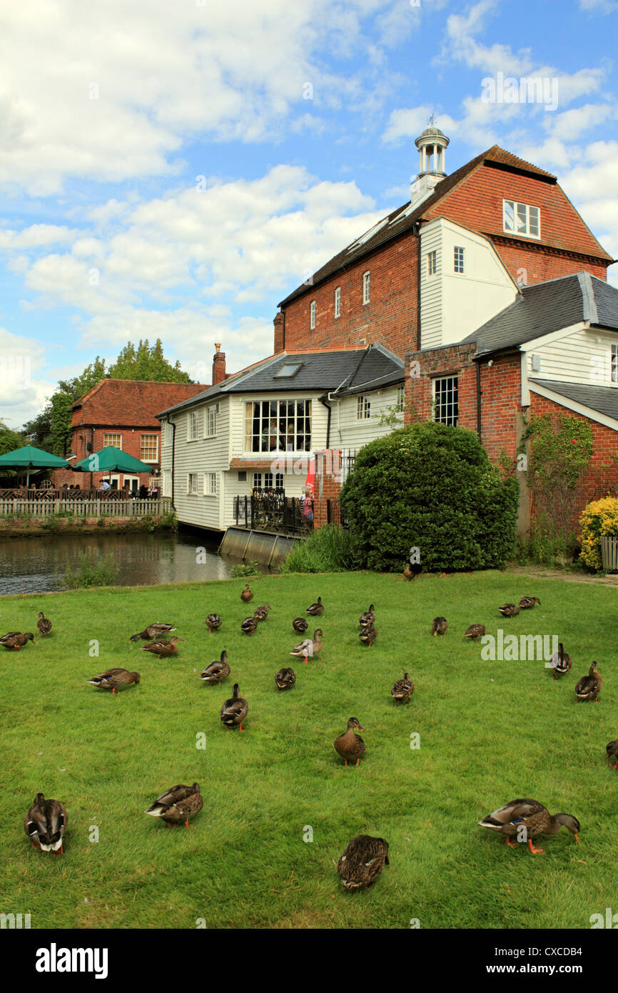 L'hôtel Elstead Mill à pub, près de Farnham Surrey England UK Banque D'Images