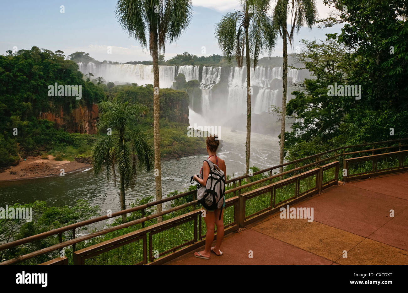 Chutes d'Iguazu, province de Misiones, en Argentine. Banque D'Images