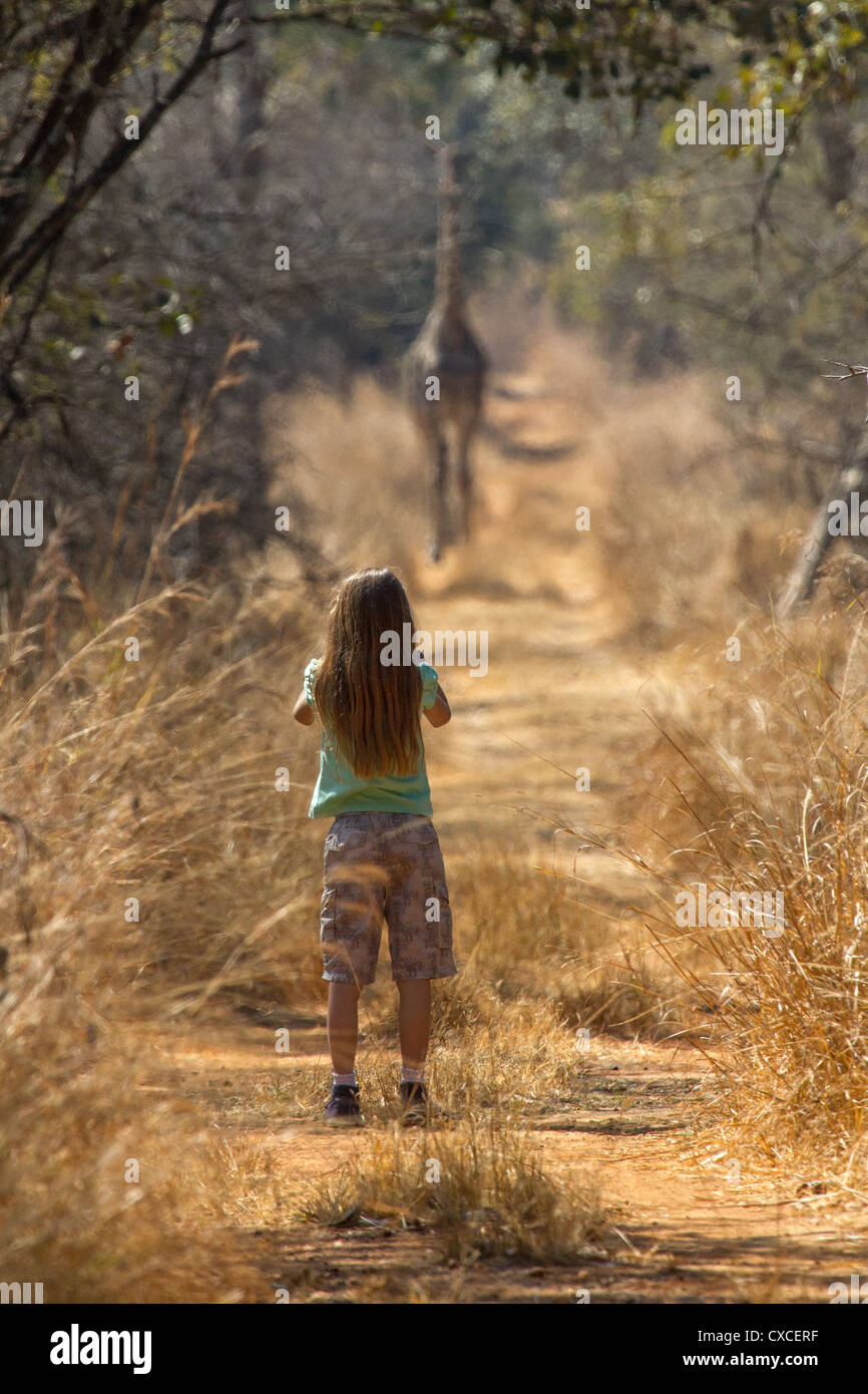 Jeune fille prend photo de girafe dans une réserve faunique en Zambie. Parution du modèle. Banque D'Images