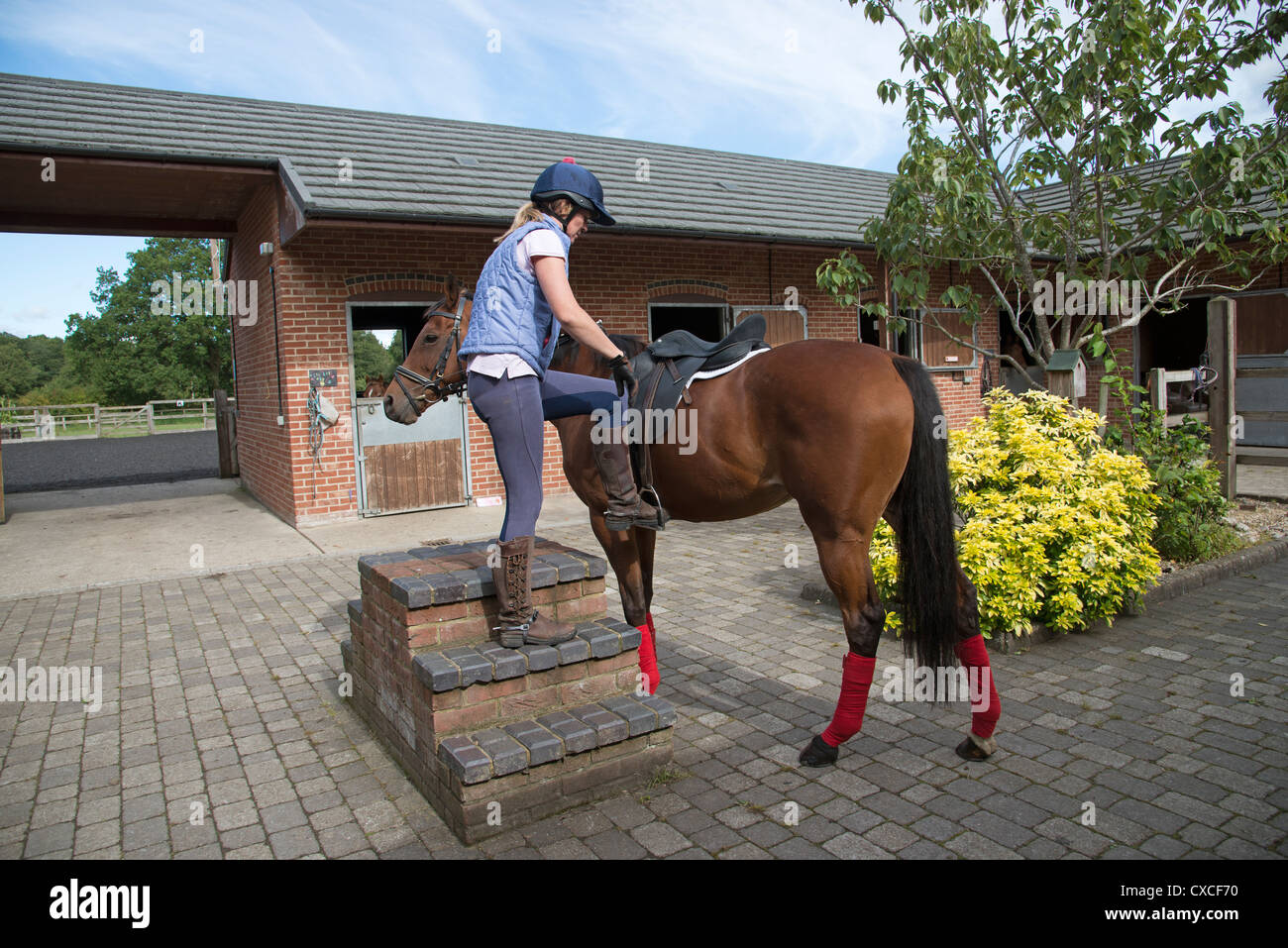 Femme à l'aide d'un bloc de montage en cour stable d'obtenir sur son cheval Banque D'Images