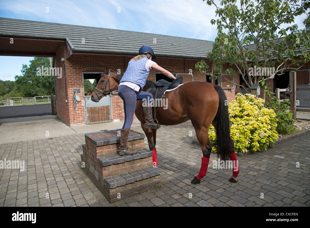 Femme à l'aide d'un bloc de montage en cour stable d'obtenir sur son cheval Banque D'Images