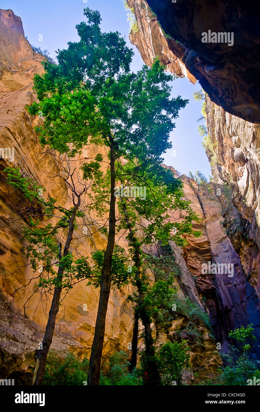 Une randonnée pédestre et humide avec piscine et de se perdre dans un grès de Coconino canyon. Banque D'Images