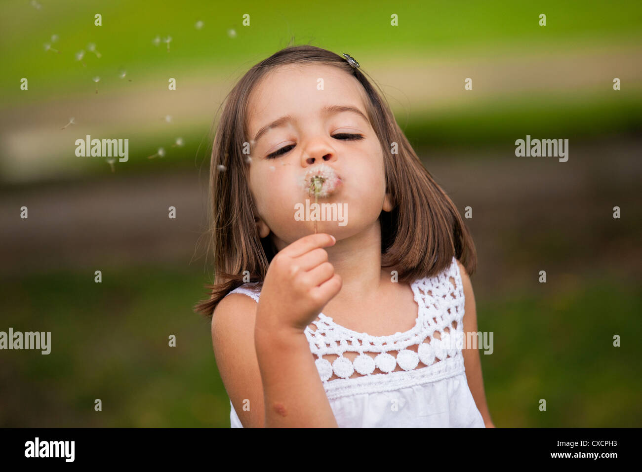 Mixed Race girl blowing dandelion seeds Banque D'Images