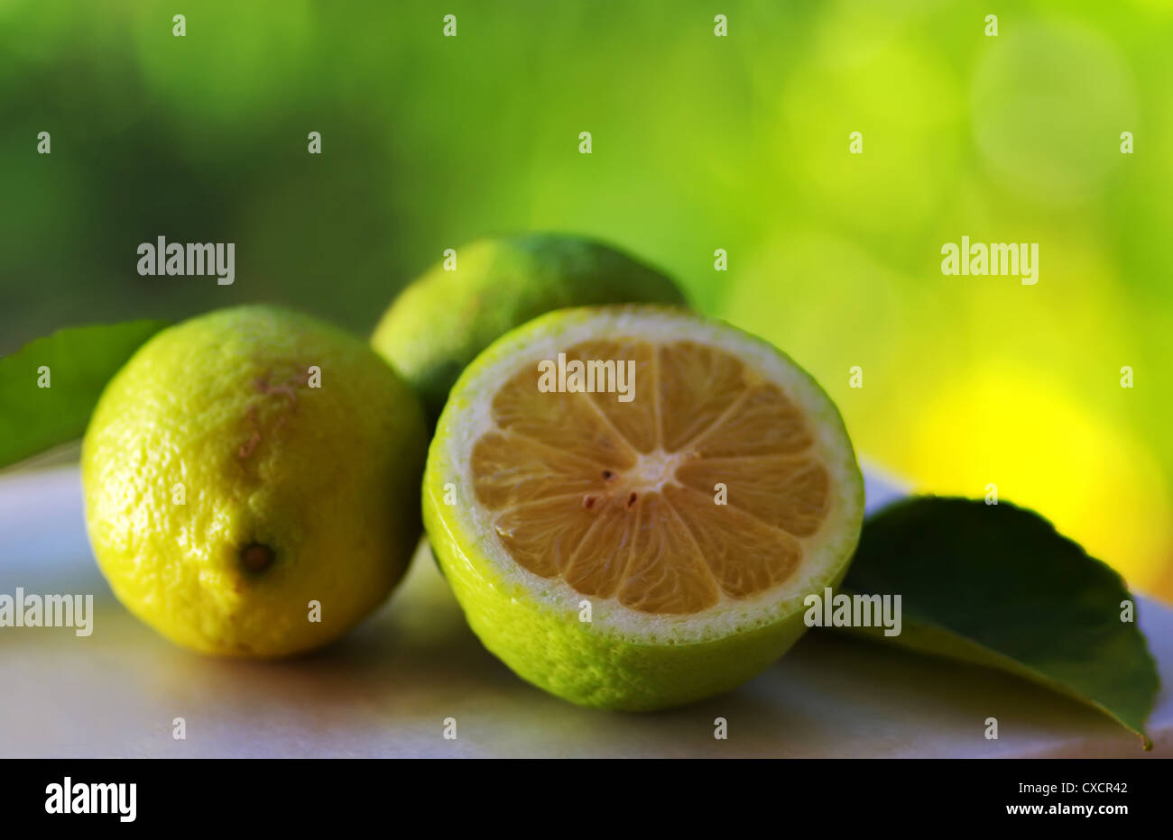 Citrons verts sur fond vert Banque D'Images