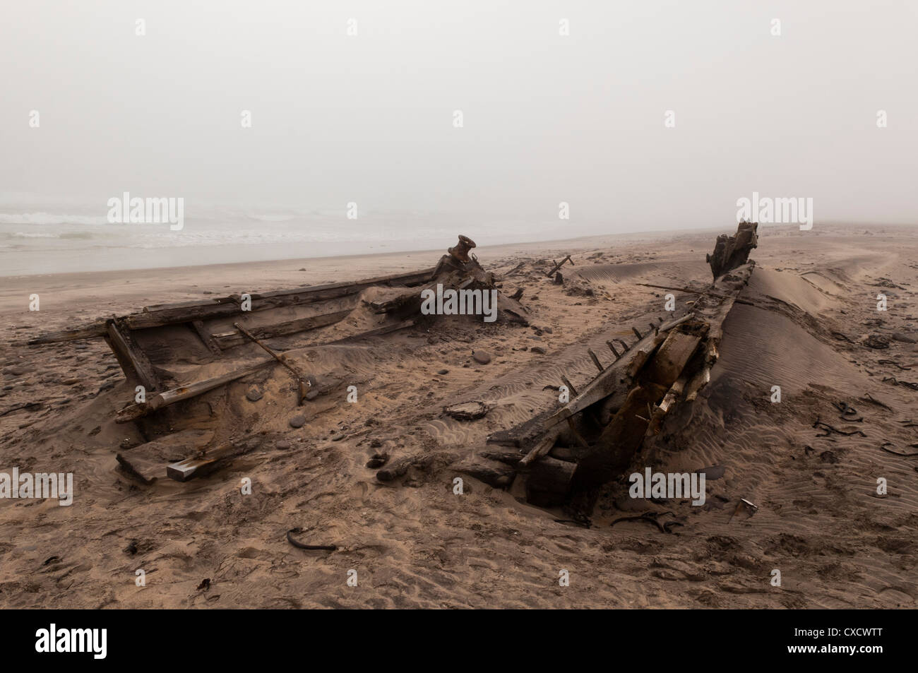 Naufrage, Skeleton Coast National Park, Namibie, Afrique Banque D'Images