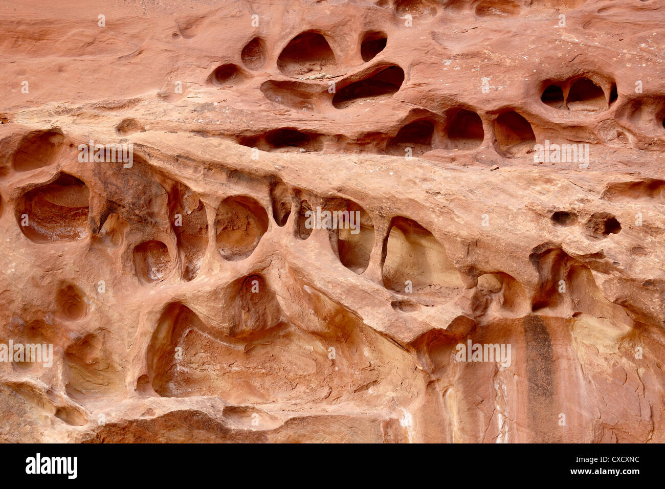 Les formations de grès, Capitol Reef National Park, Utah, États-Unis d'Amérique, Amérique du Nord Banque D'Images