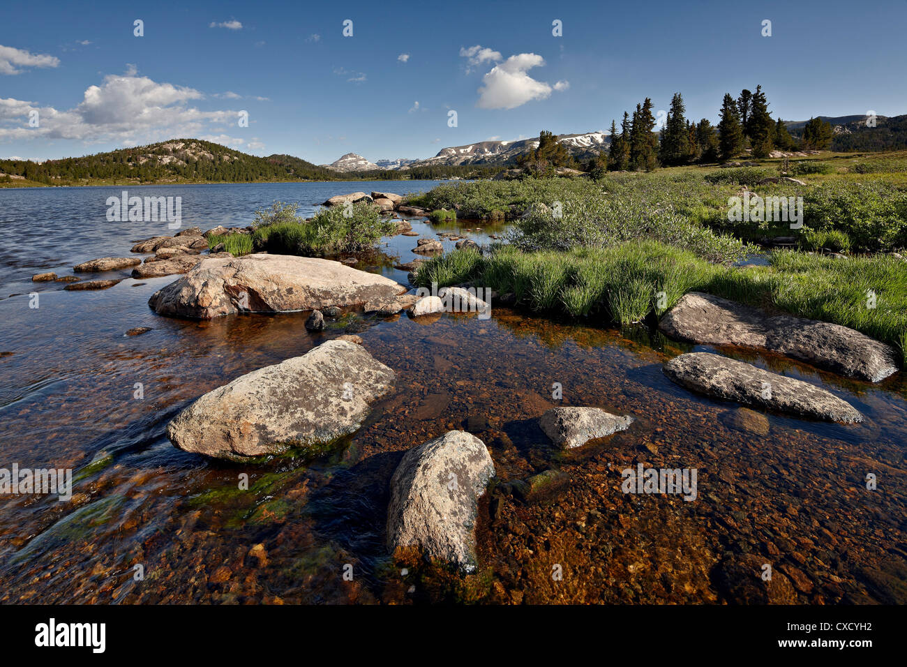 Lac de l'île, forêt nationale de Shoshone, Wyoming, États-Unis d'Amérique, Amérique du Nord Banque D'Images
