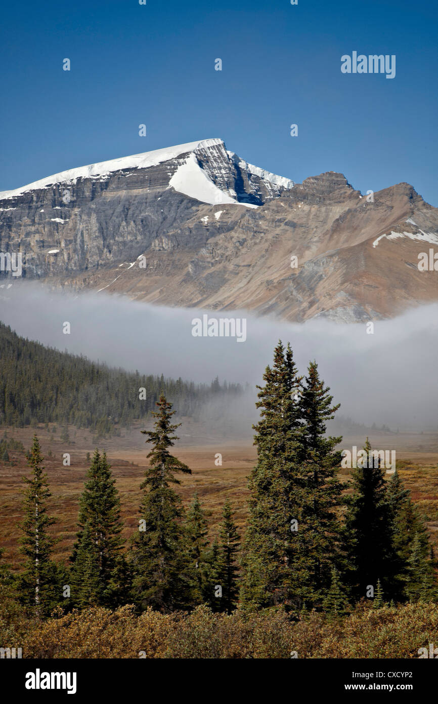 Brouillard dans la vallée alpine, Jasper National Park, site du patrimoine mondial de l'UNESCO, de l'Alberta, au Canada, en Amérique du Nord Banque D'Images