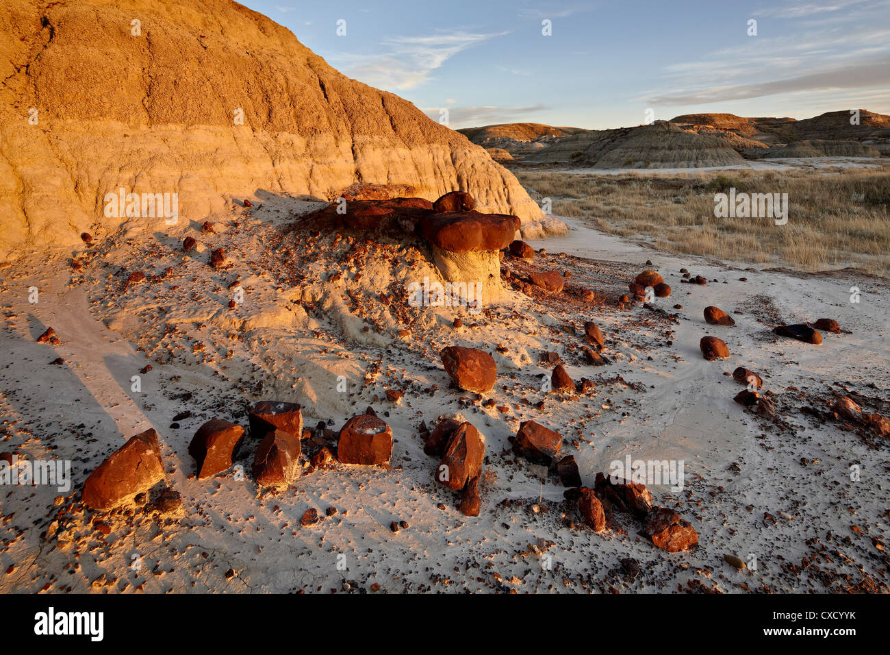 Badlands, le parc provincial Dinosaur, Site du patrimoine mondial de l'UNESCO, de l'Alberta, au Canada, en Amérique du Nord Banque D'Images