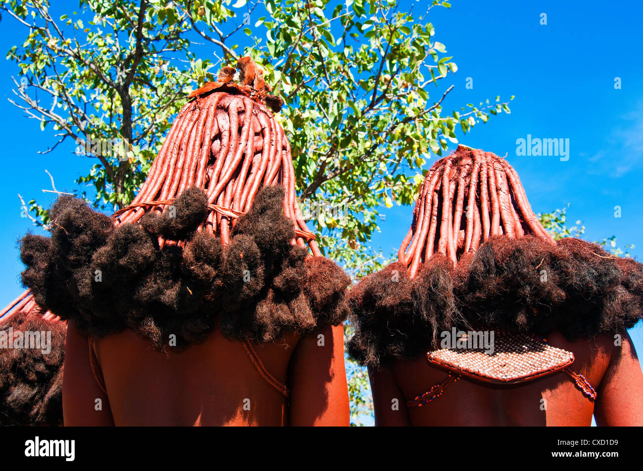 Coiffure de femme Himba, Kaokoveld, Namibie, Afrique du Sud Banque D'Images