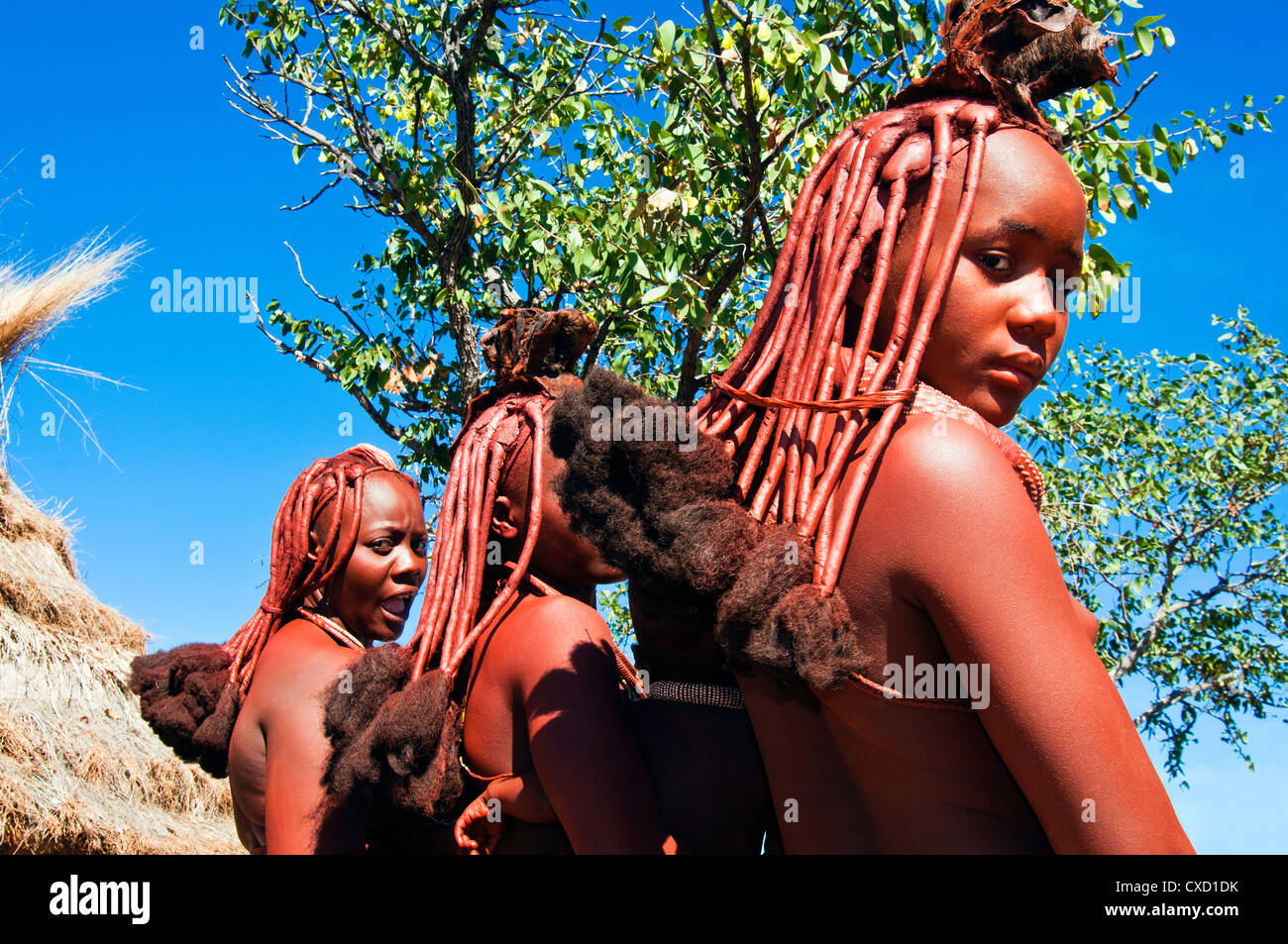Coiffure de femme Himba, Kaokoveld, Namibie, Afrique du Sud Banque D'Images