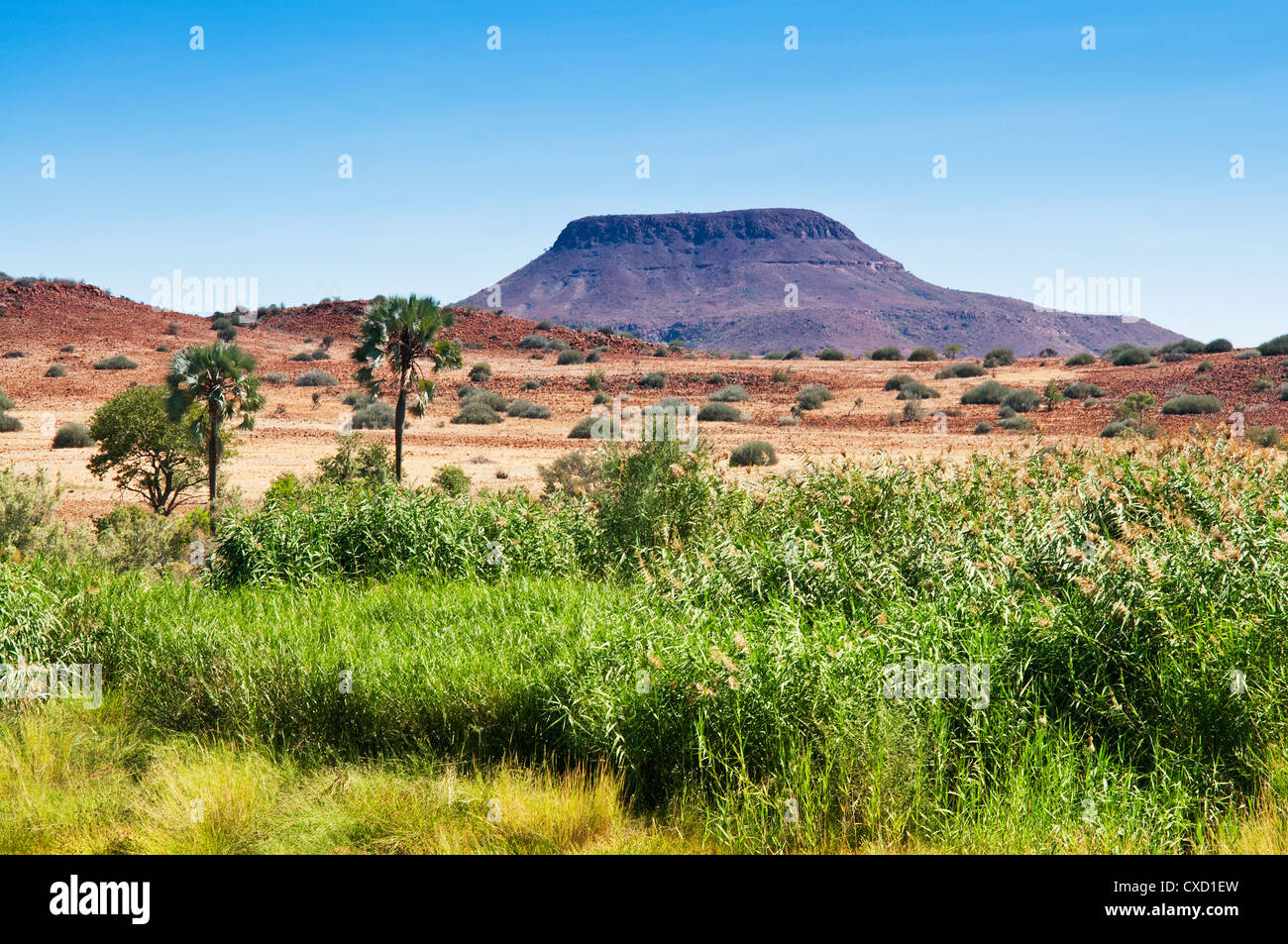 La région de Kunene, Damaraland, Namibie, Afrique Banque D'Images