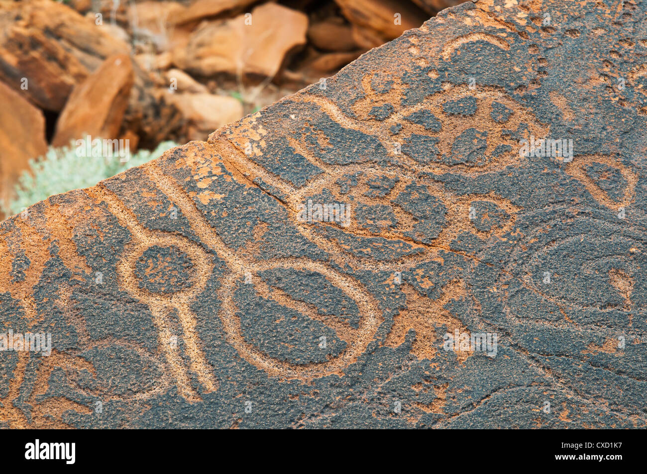 Des pétroglyphes ou gravures, Twyfelfontein, site du patrimoine mondial de l'UNESCO, la région de Kunene, Damaraland, Namibie, Afrique Banque D'Images