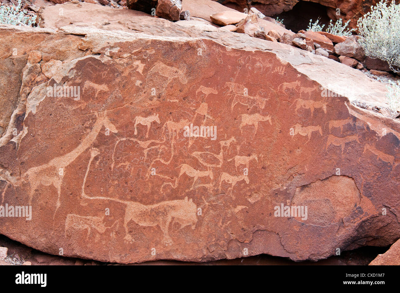 Des pétroglyphes ou gravures, Twyfelfontein, site du patrimoine mondial de l'UNESCO, la région de Kunene, Damaraland, Namibie, Afrique Banque D'Images