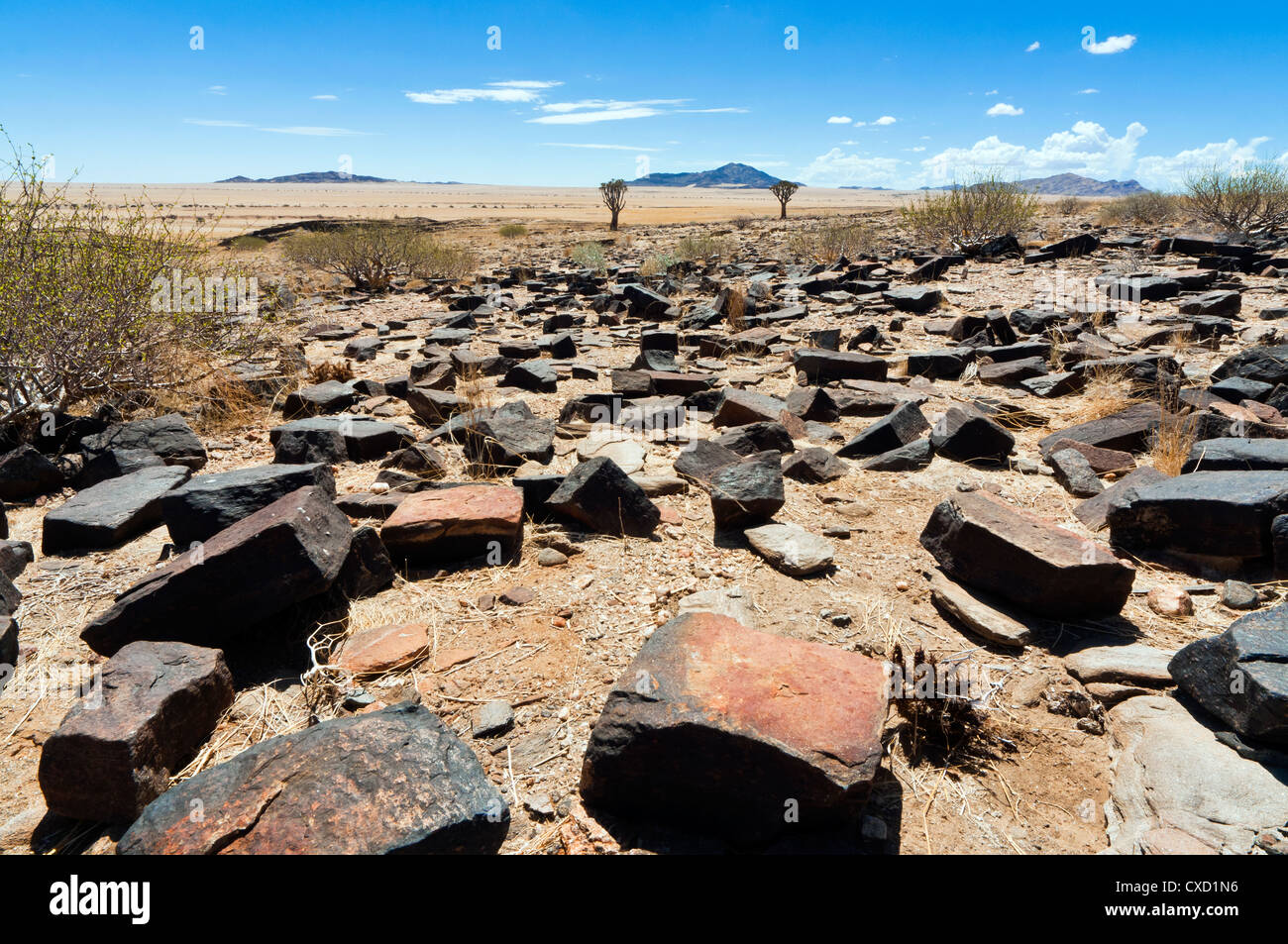 Désert du Namib, Namibie, Afrique Banque D'Images