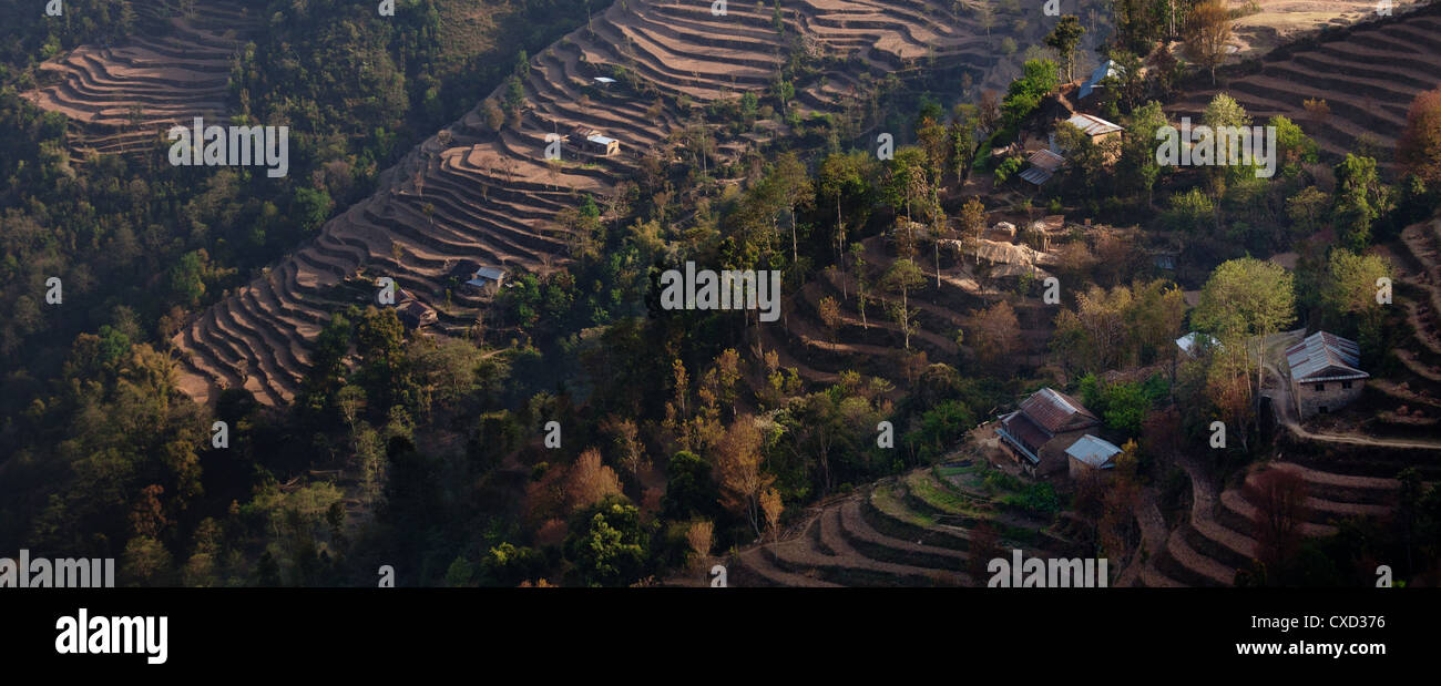 Petit village et champs en terrasses sur les contreforts de l'Himalaya, près de Kutumsang, Région de l'Helambu, Népal Banque D'Images