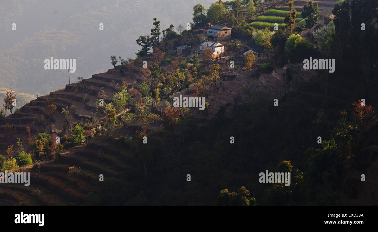 Petit village traditionnel entouré de champs en terrasses sur les contreforts de l'Himalaya, près de Kutumsang, Région de l'Helambu, Népal Banque D'Images