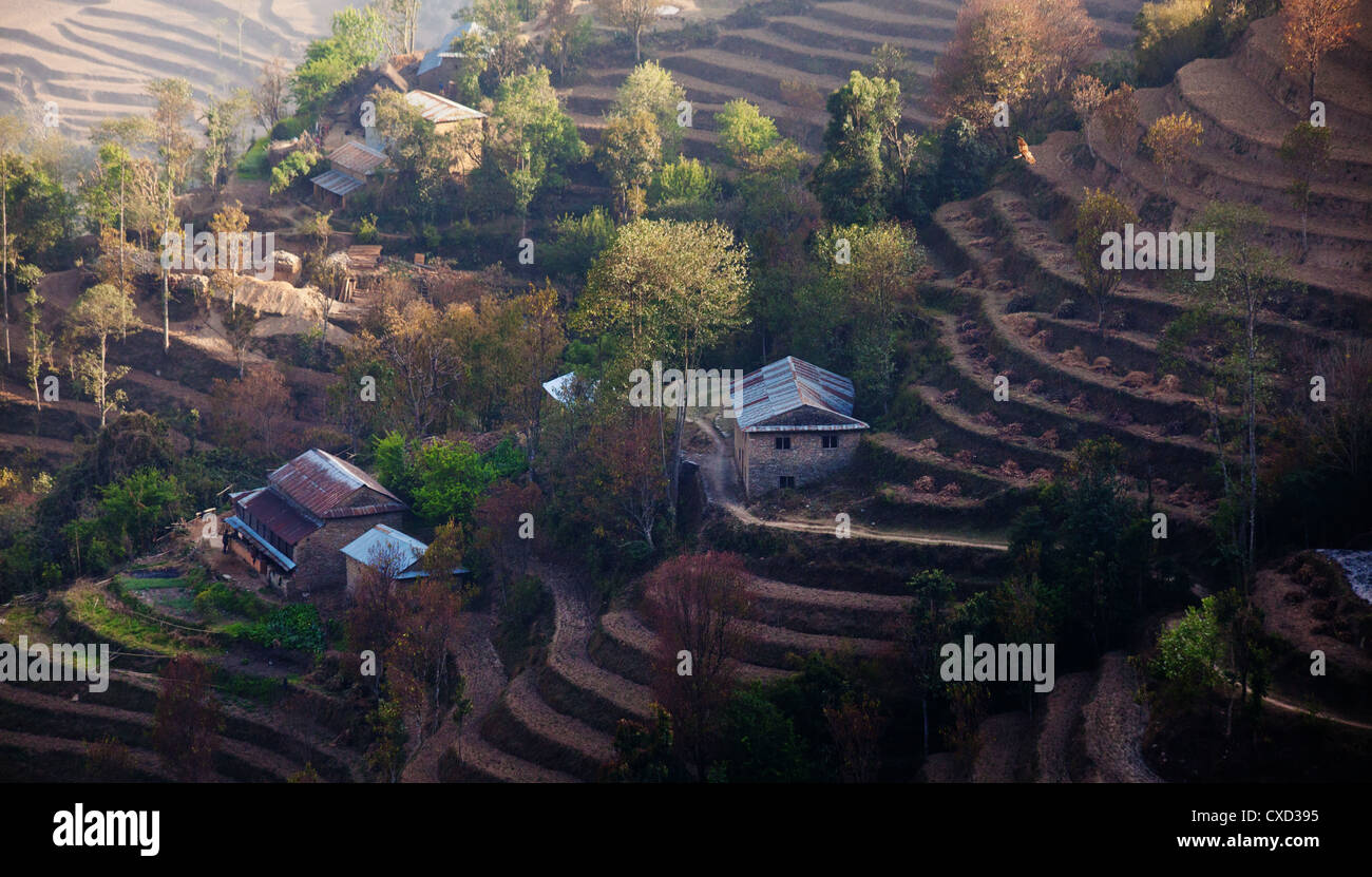 Petit village traditionnel entouré de champs en terrasses sur les contreforts de l'Himalaya, près de Kutumsang, Région de l'Helambu, Népal Banque D'Images