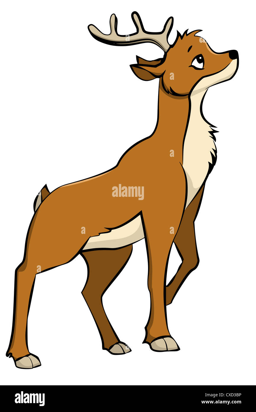 Roebuck Banque D'Images