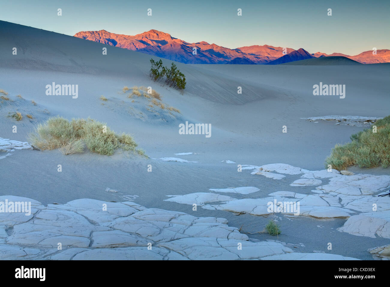 La boue séchée dans la télévision Mesquite Sand Dunes, Death Valley National Park, California, États-Unis d'Amérique, Amérique du Nord Banque D'Images