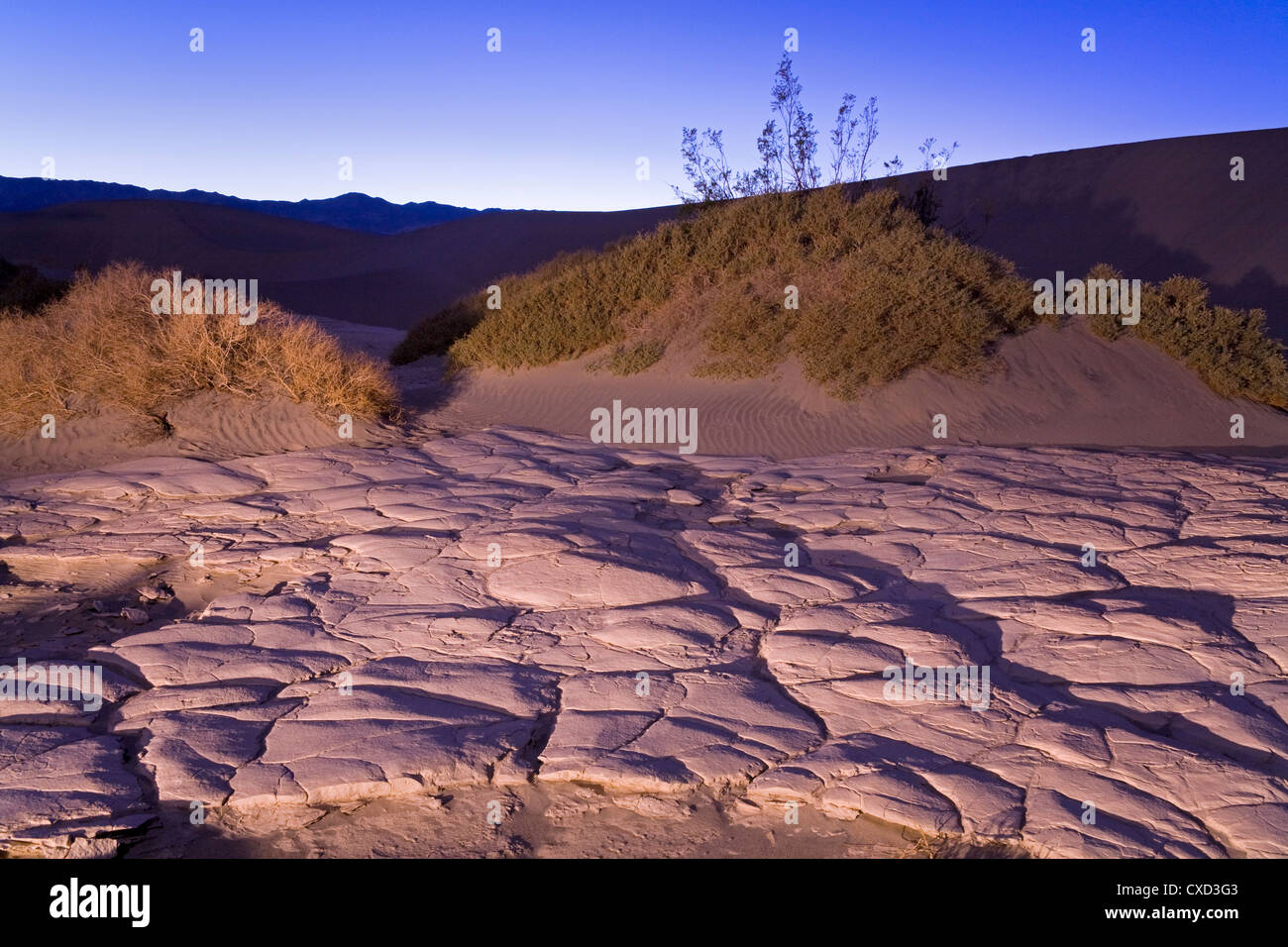 La boue séchée dans la télévision Mesquite Sand Dunes, Death Valley National Park, California, États-Unis d'Amérique, Amérique du Nord Banque D'Images