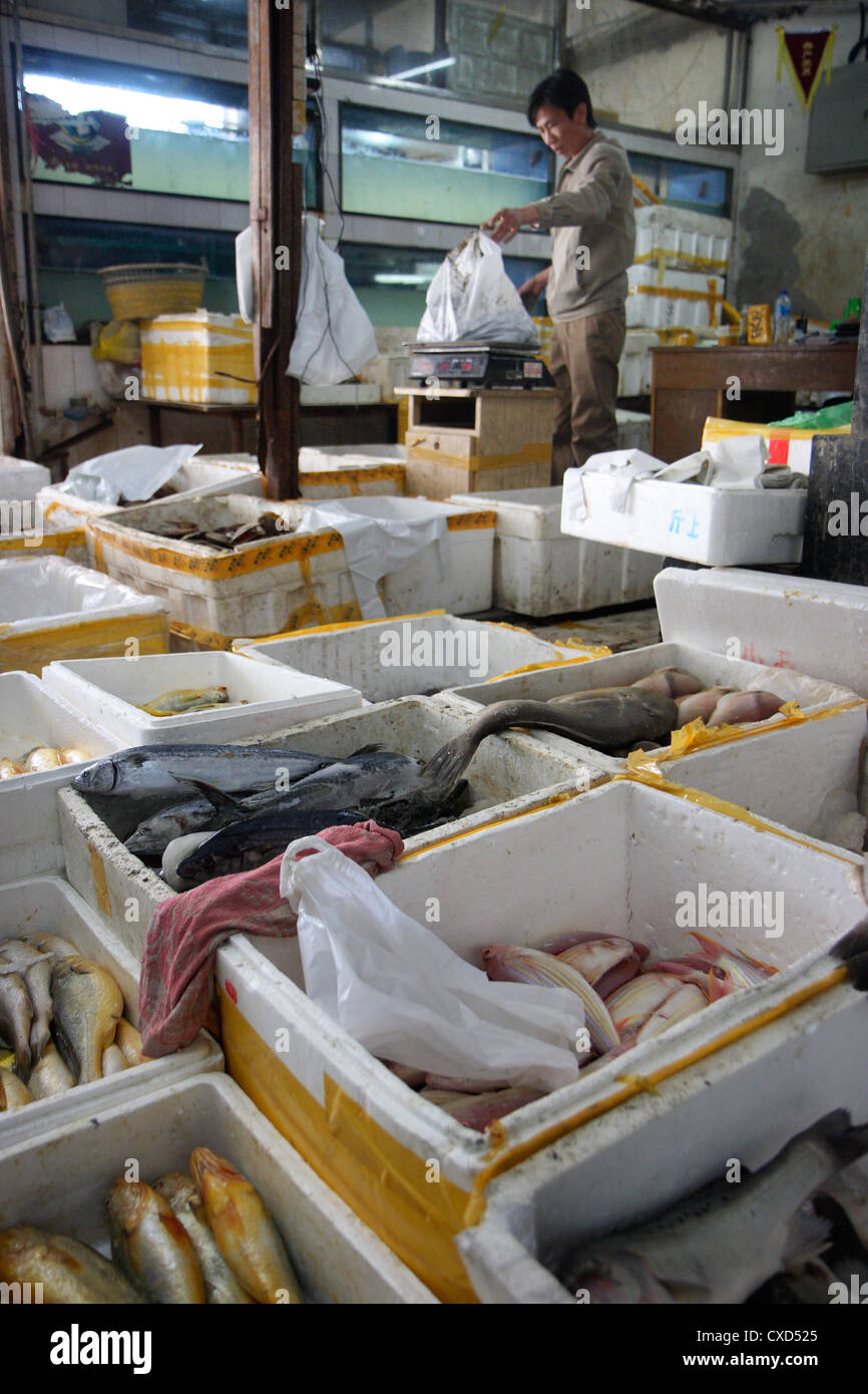 Beijing, concessionnaire vend les poissons et autres espèces marines Banque D'Images