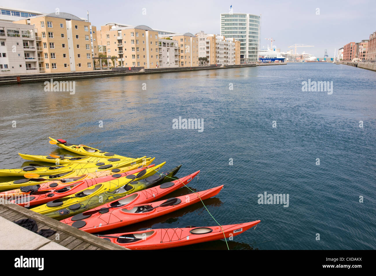 Canoë Sports dans le golfe à Copenhague, Danemark Banque D'Images