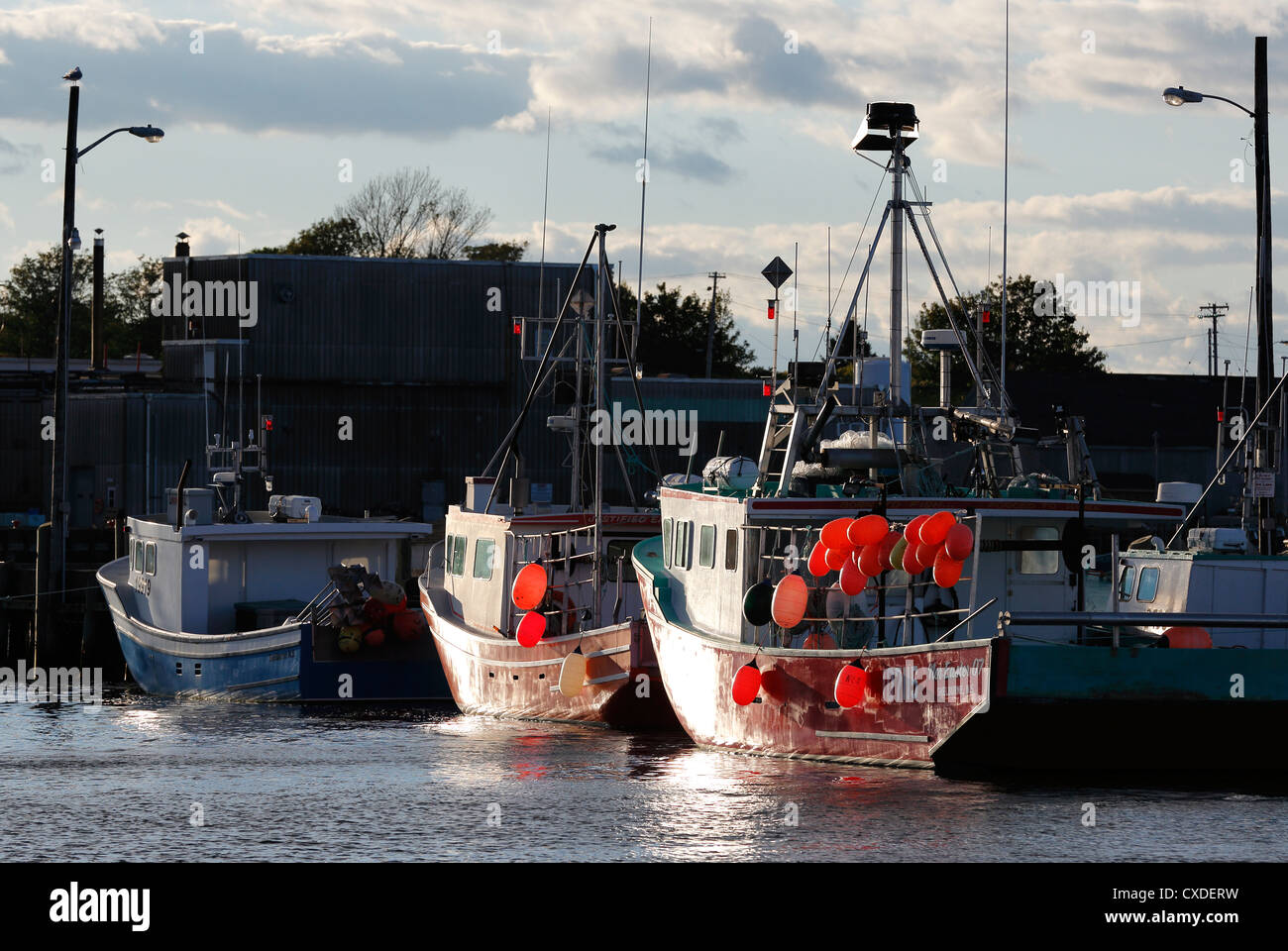 Les bateaux de pêche, de Shelburne, Nouvelle-Écosse Banque D'Images