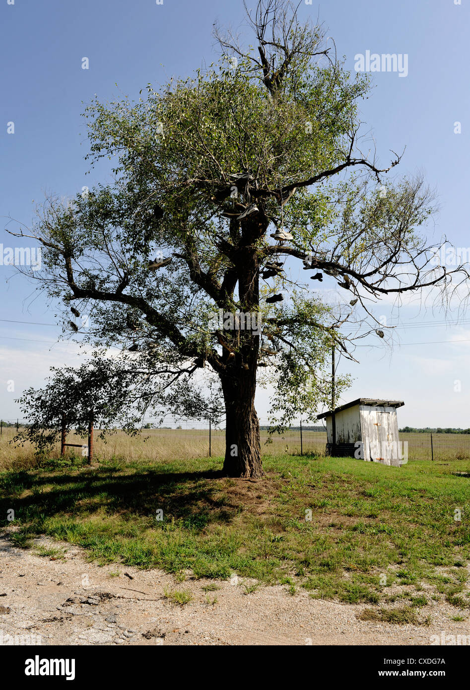De 14 mètres de l'arbre avec de la chaussures et bottes, Route 66, Paris Springs, Missouri Banque D'Images