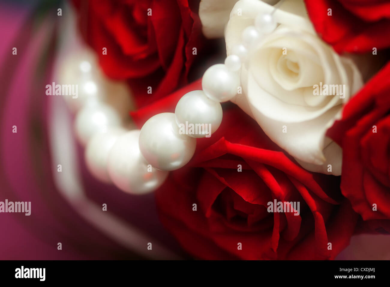 Rouge et blanc fleurs roses avec des perles Banque D'Images