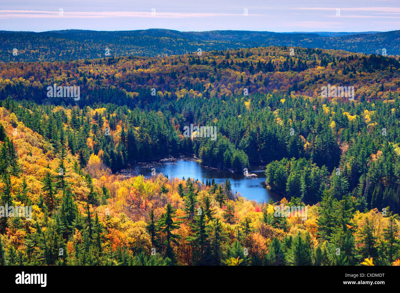 Automne en Ontario Banque D'Images