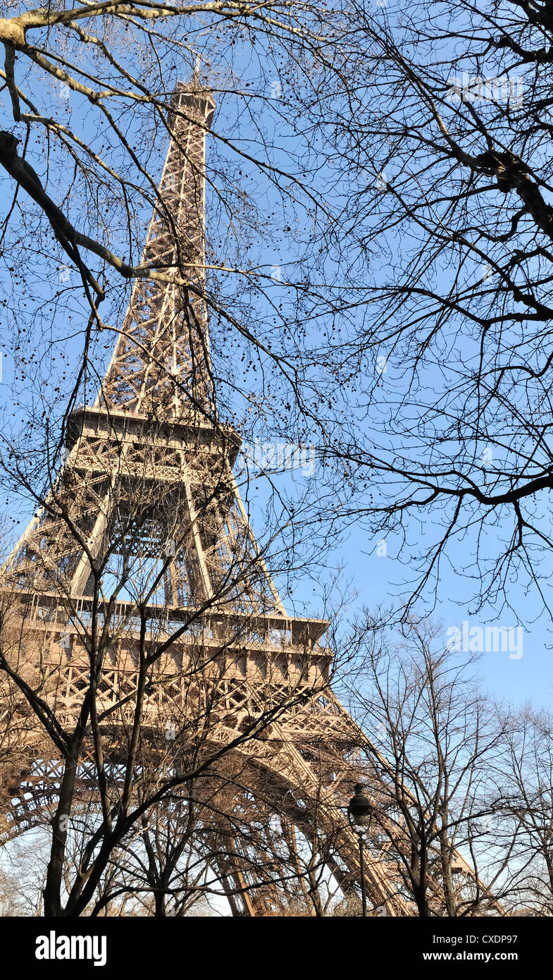 Aperçu de la Tour Eiffel à travers les branches d'arbres Banque D'Images