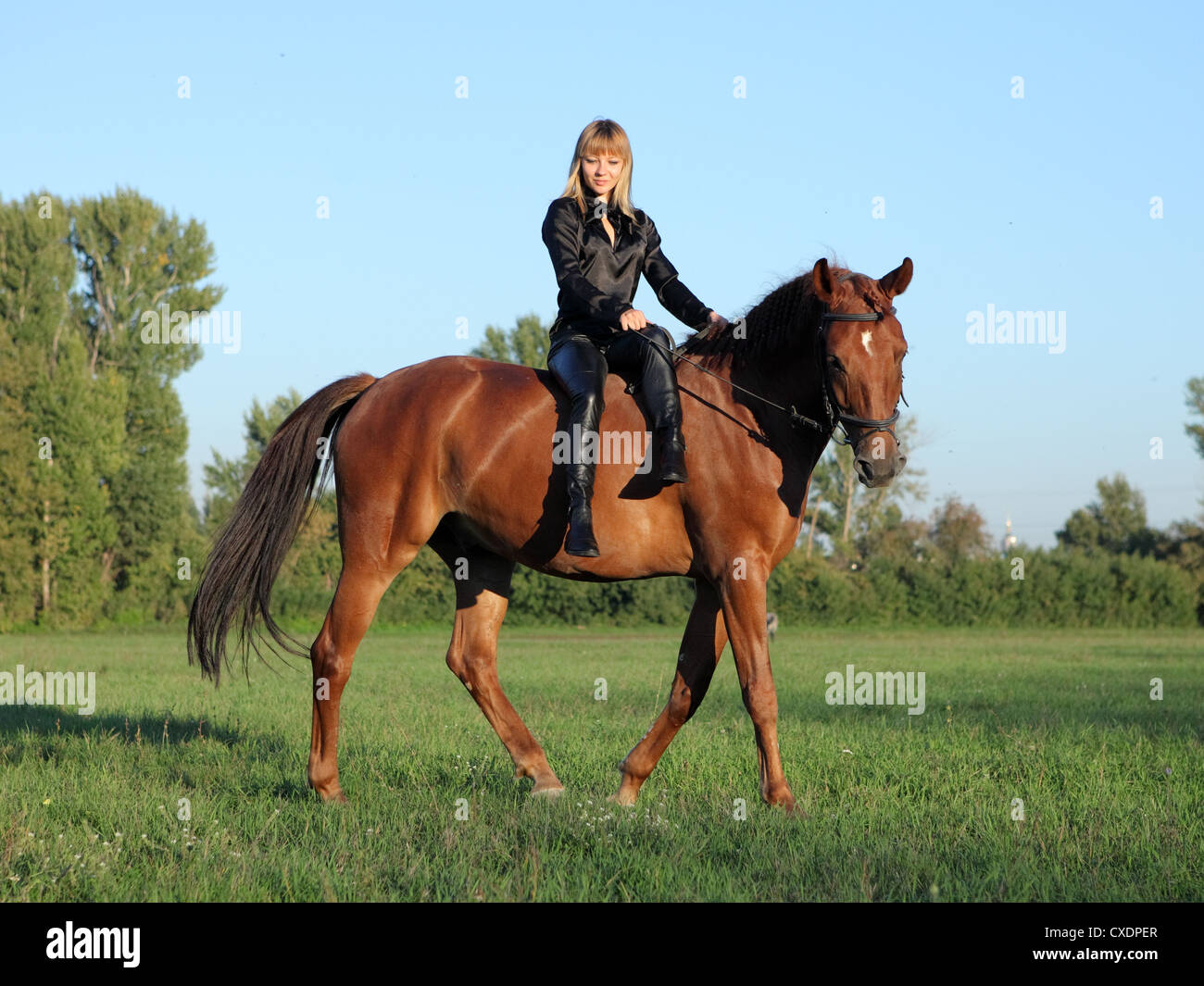 Fille en robe du soir riding horse in pasture Banque D'Images