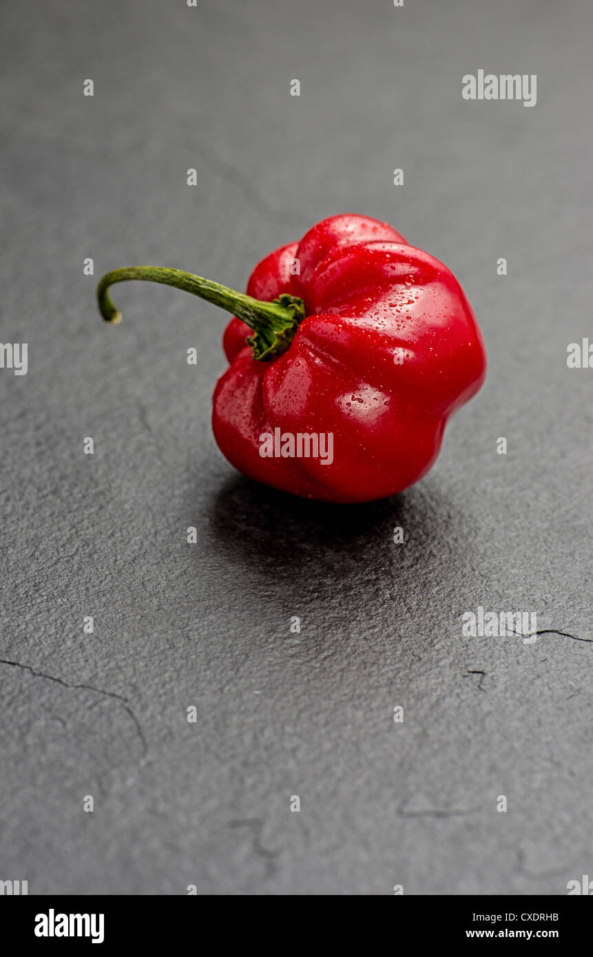Le habanero rouge sur la plaque d'ardoise Banque D'Images
