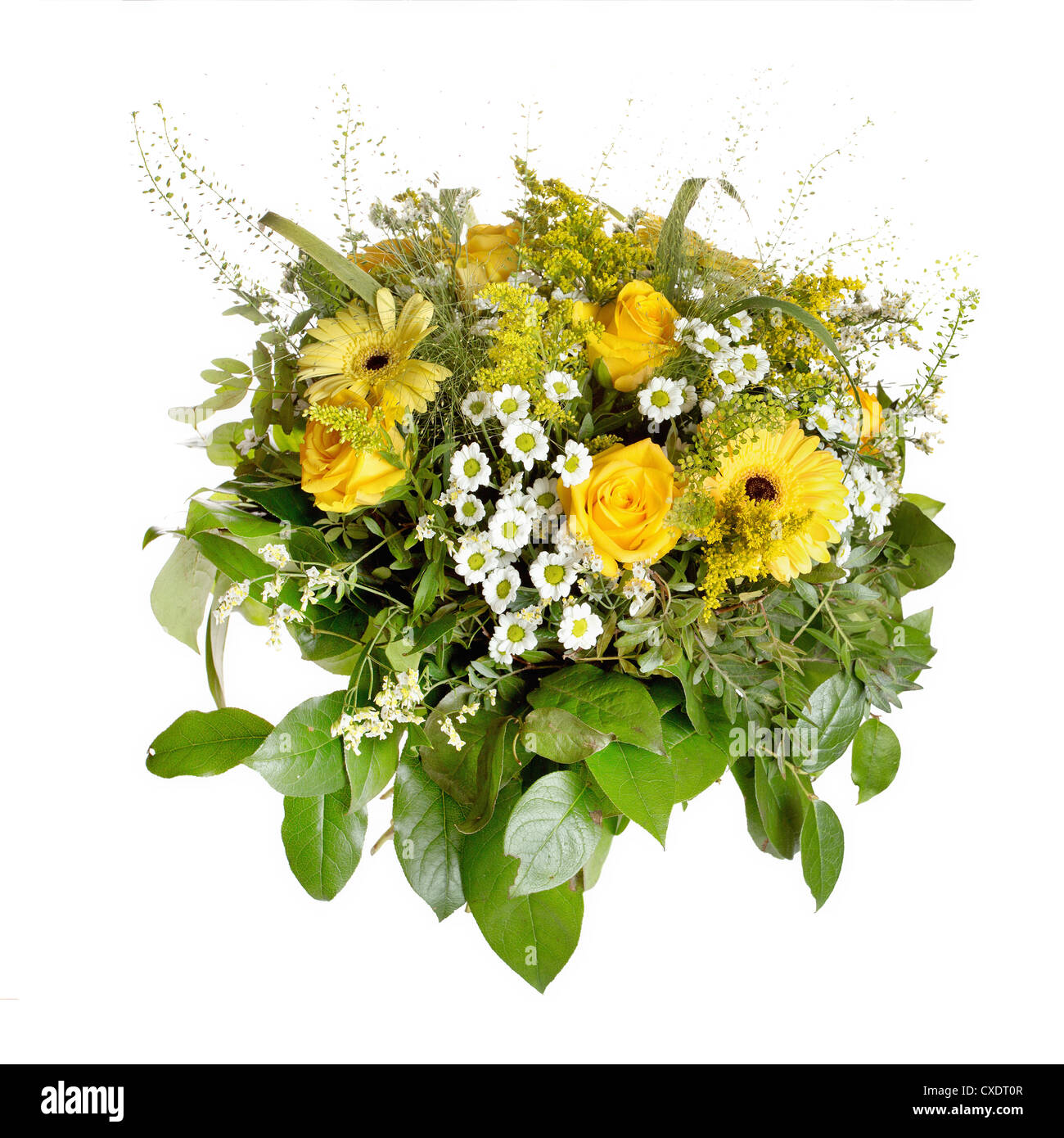 Bouquet jaune sur fond blanc Banque D'Images