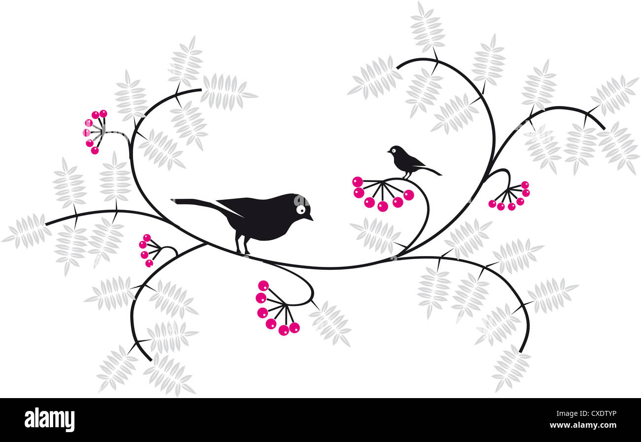 Oiseaux Oiseaux assis sur l'arbre deux oiseaux oiseaux 2 fleurs, le couple, l'amour, bien-aimé, le bien-aimé les oiseaux sur la branche fond blanc Banque D'Images