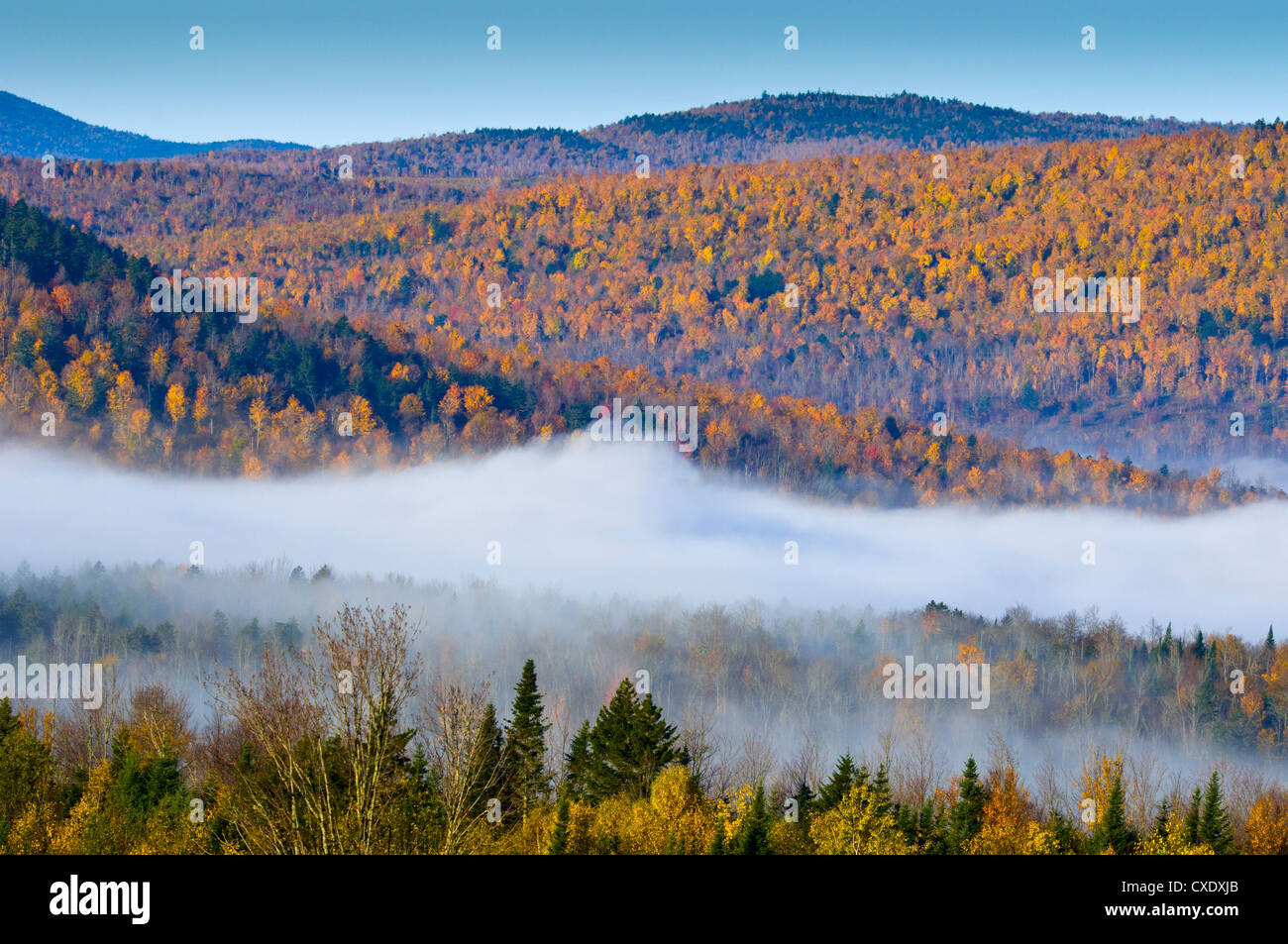 Feuillage d'automne, New Hampshire, New England, États-Unis d'Amérique, Amérique du Nord Banque D'Images