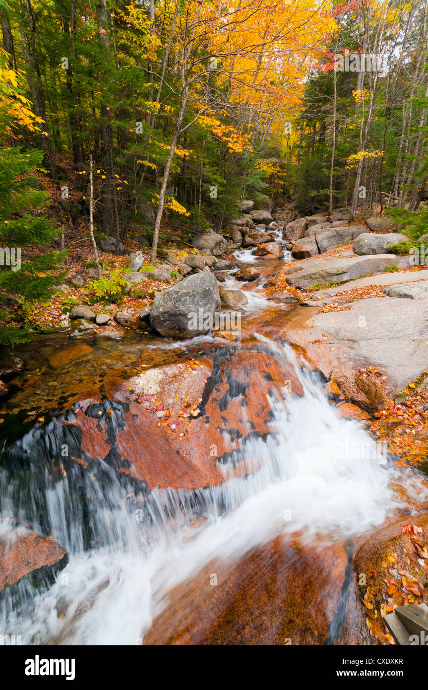 Franconia Notch State Park, New Hampshire, New England, États-Unis d'Amérique, Amérique du Nord Banque D'Images