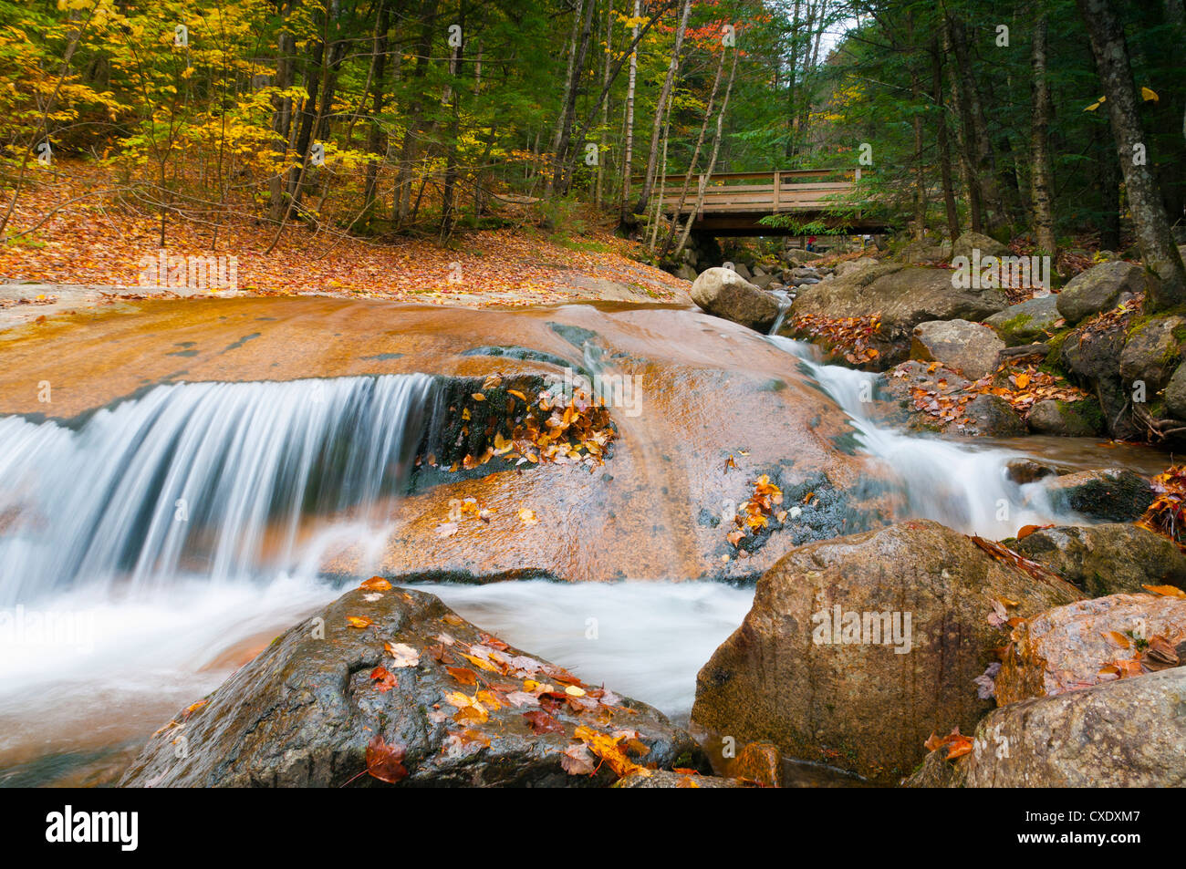 Franconia Notch State Park, New Hampshire, New England, États-Unis d'Amérique, Amérique du Nord Banque D'Images