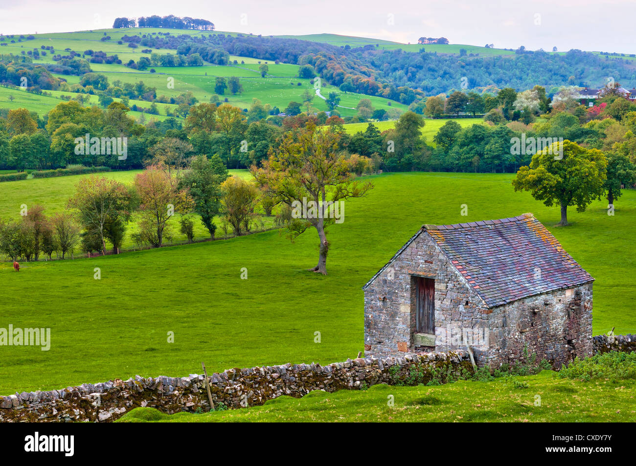 River Valley près du collecteur d'Ilam, parc national de Peak District, Derbyshire, Angleterre Banque D'Images