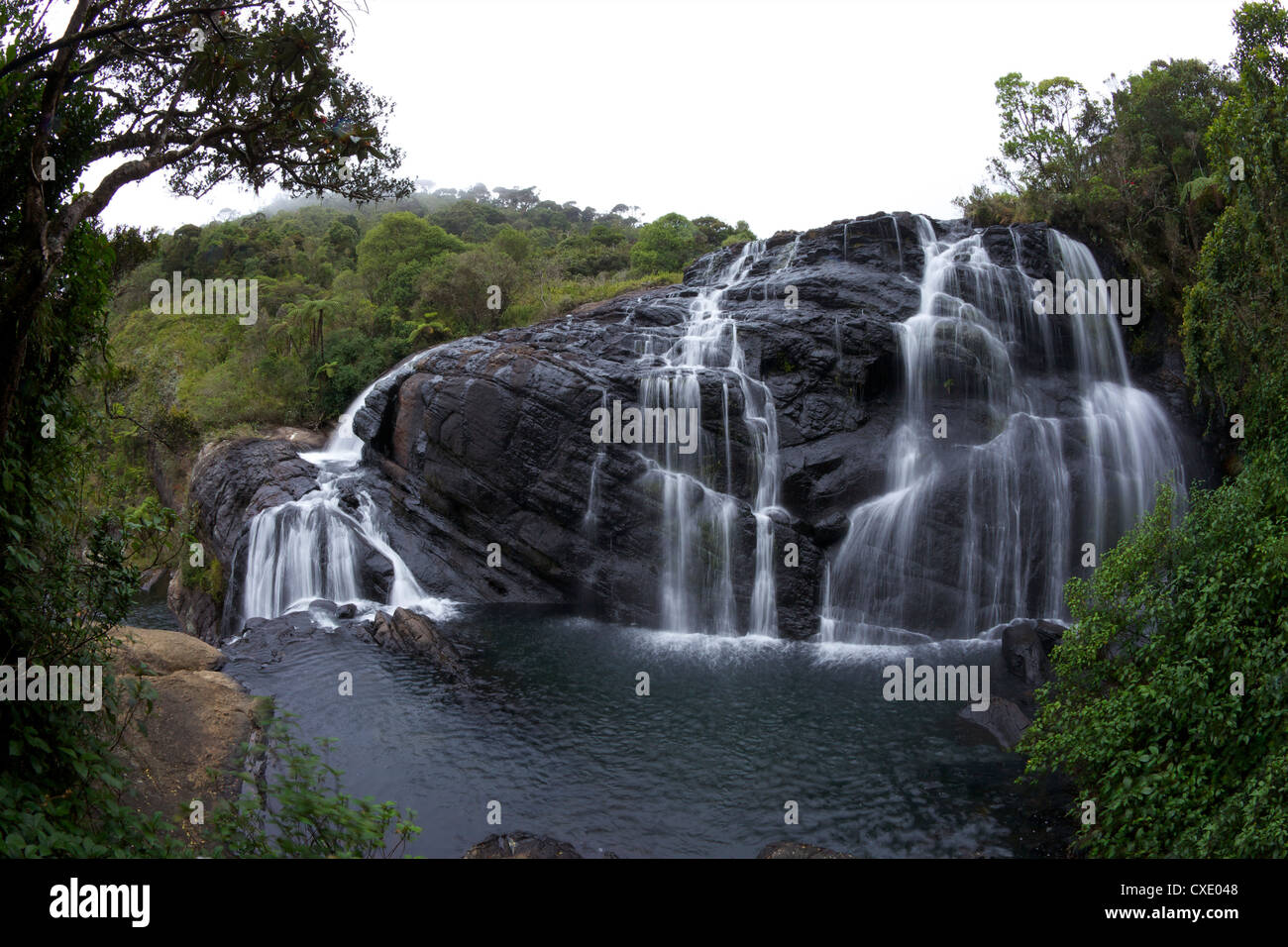 Baker's Falls, parc national de Horton Plains, le Sri Lanka, l'Asie Banque D'Images