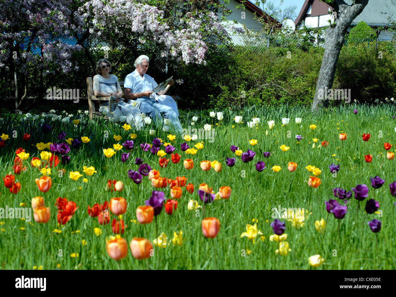 Berlin, le jardin de Britz Banque D'Images