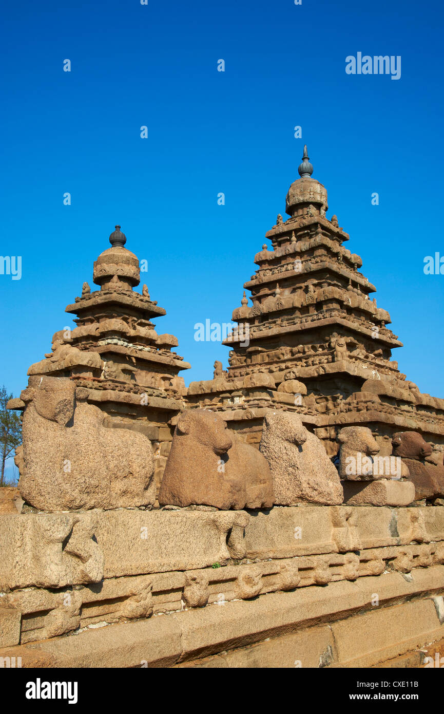 Le Shore Temple, Mamallapuram (Mahabalipuram), UNESCO World Heritage Site, Tamil Nadu, Inde, Asie Banque D'Images