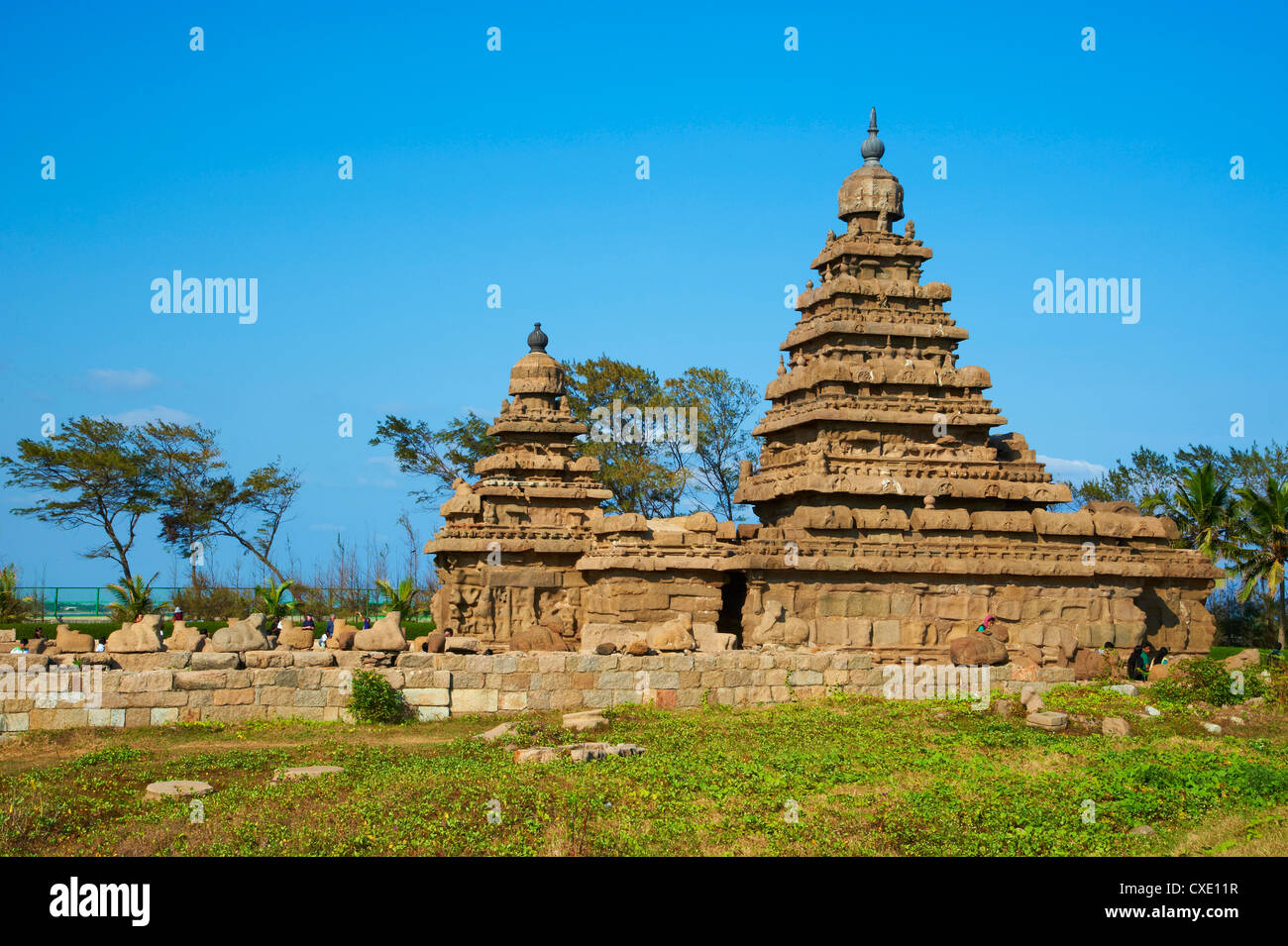 Le Shore Temple, Mamallapuram (Mahabalipuram), UNESCO World Heritage Site, Tamil Nadu, Inde, Asie Banque D'Images