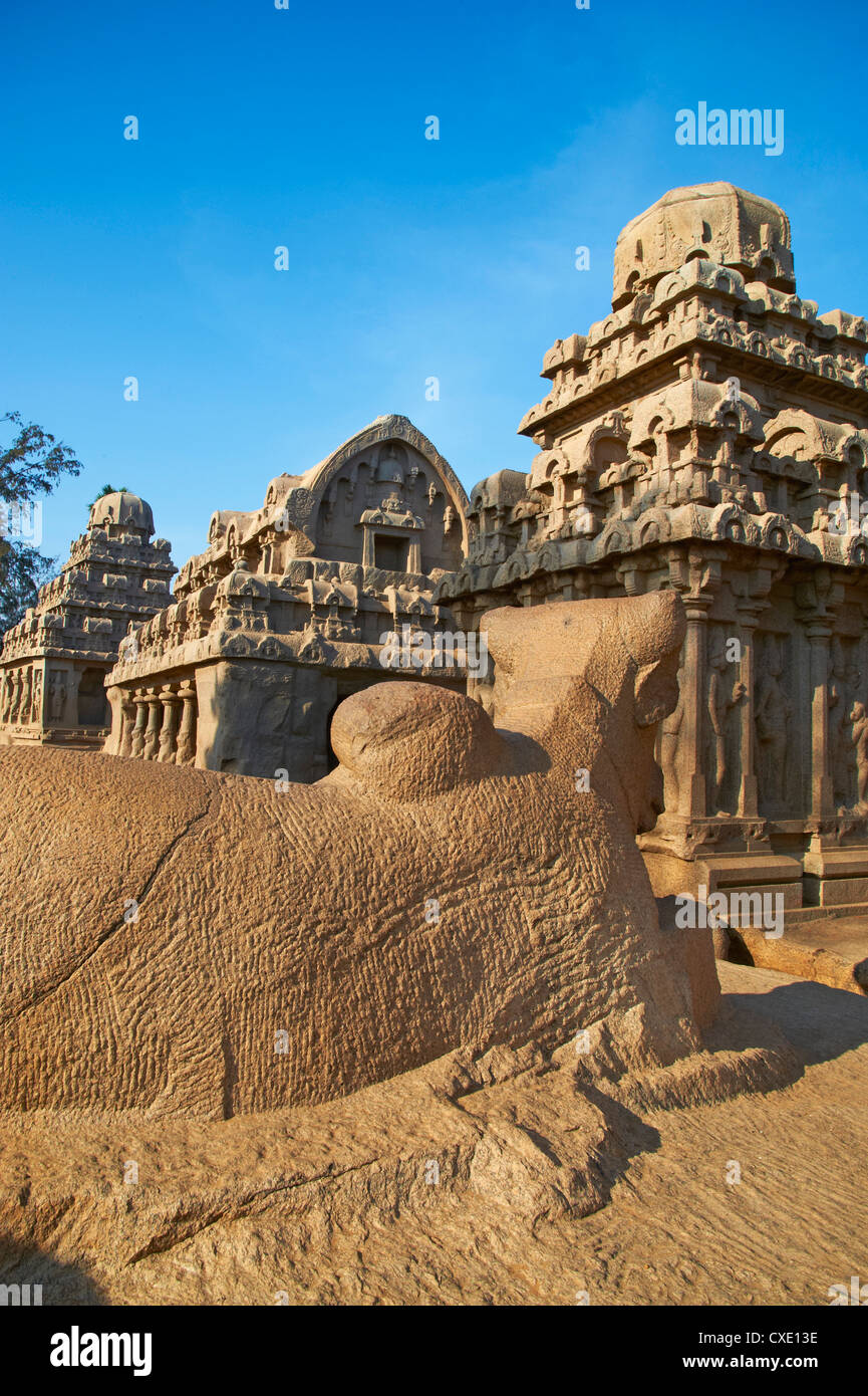 Cinq Ratha, Mamallapuram (Mahabalipuram), UNESCO World Heritage Site, Tamil Nadu, Inde, Asie Banque D'Images