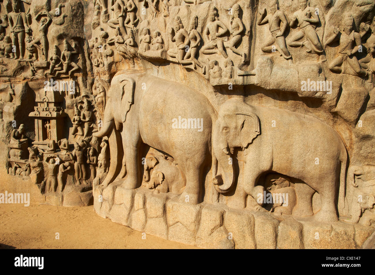La pénitence d'Arjuna sculptures de granit, Mamallapuram (Mahabalipuram), UNESCO World Heritage Site, Tamil Nadu, Inde, Asie Banque D'Images