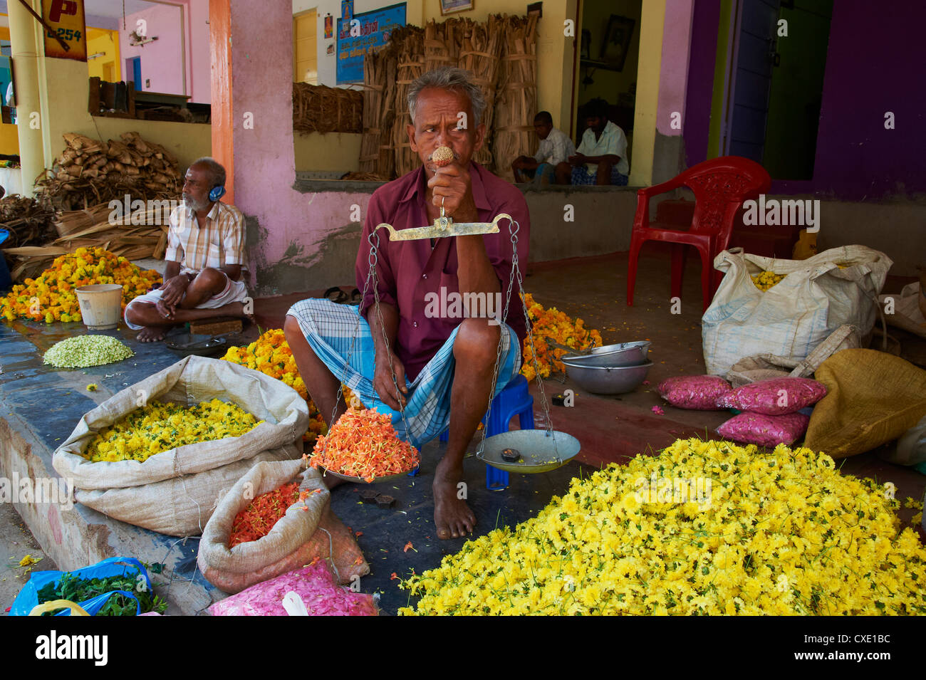 Marché aux Fleurs, Madurai, Tamil Nadu, Inde, Asie Banque D'Images