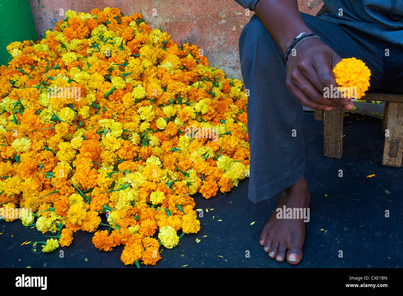 Tagètes, marché aux fleurs, Madurai, Tamil Nadu, Inde, Asie Banque D'Images