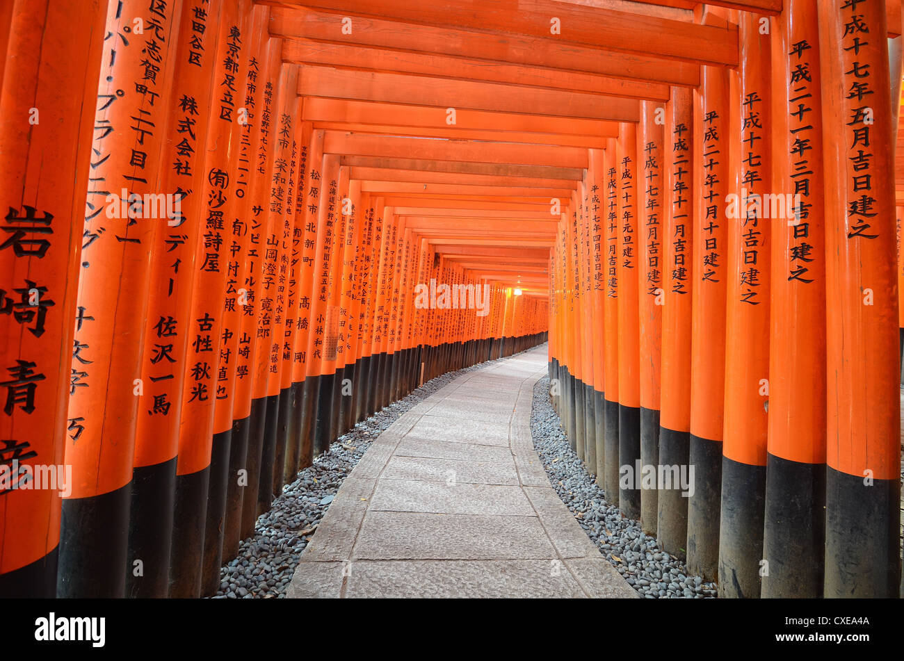 Certaines des nombreuses portes rouge au Sanctuaire Fushimi Inari situé dans le sud-est de Kyoto. Banque D'Images