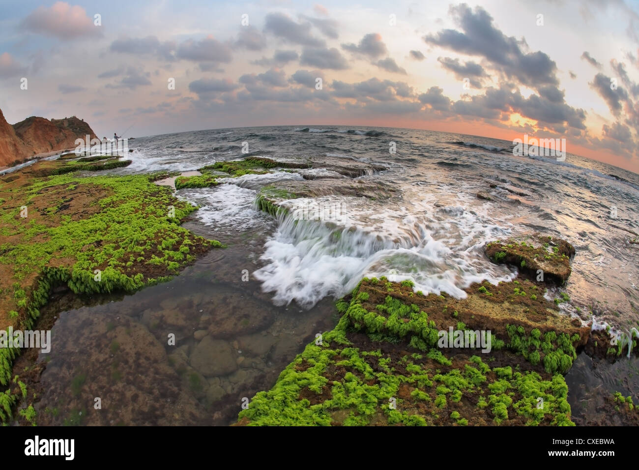 La mer Méditerranée à marée basse Photo Stock - Alamy